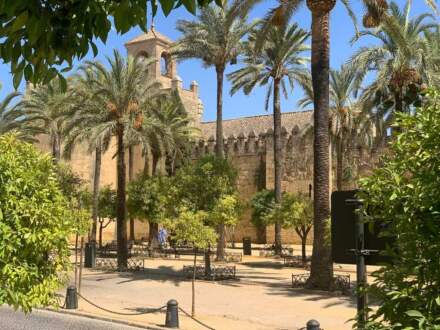 Visitas guiadas en el Alcázar de los Reyes Cristianos de Córdoba ❤️