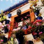 Visitas en los patios de Córdoba