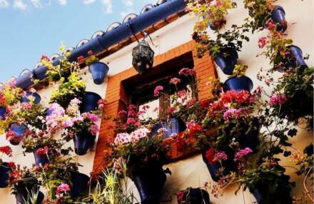 Visitas en los patios de Córdoba