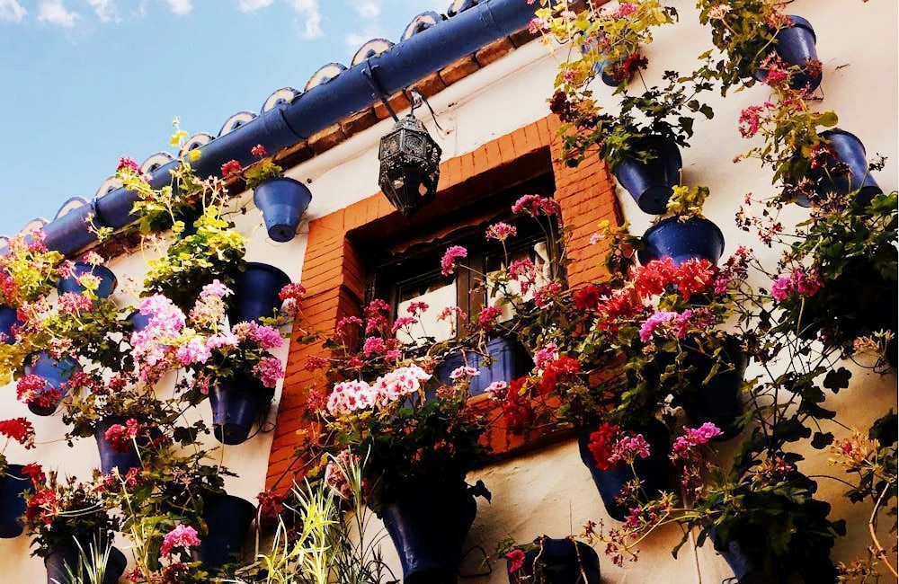 Visitas en los patios de Córdoba